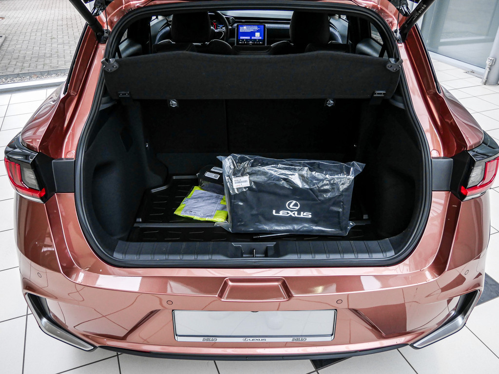 Fahrzeugansicht LEXUS LBX Cool - Bild 9