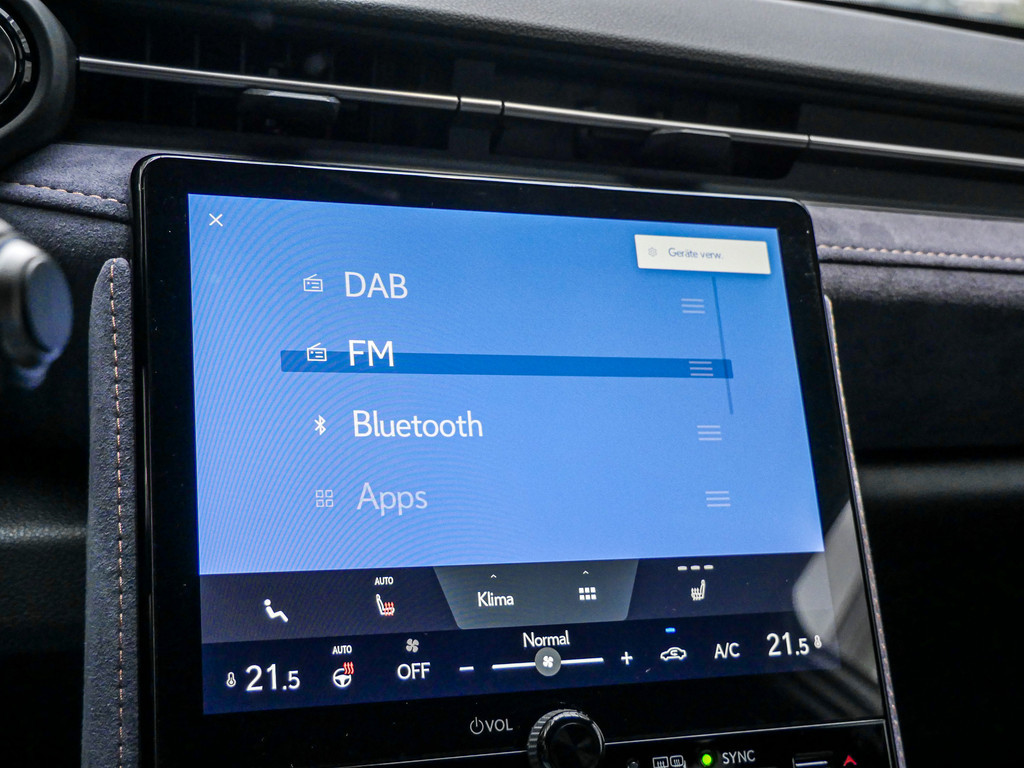 Fahrzeugansicht LEXUS LBX Cool - Bild 14