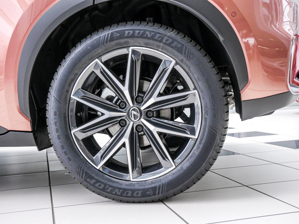 Fahrzeugansicht LEXUS LBX Cool - Bild 36