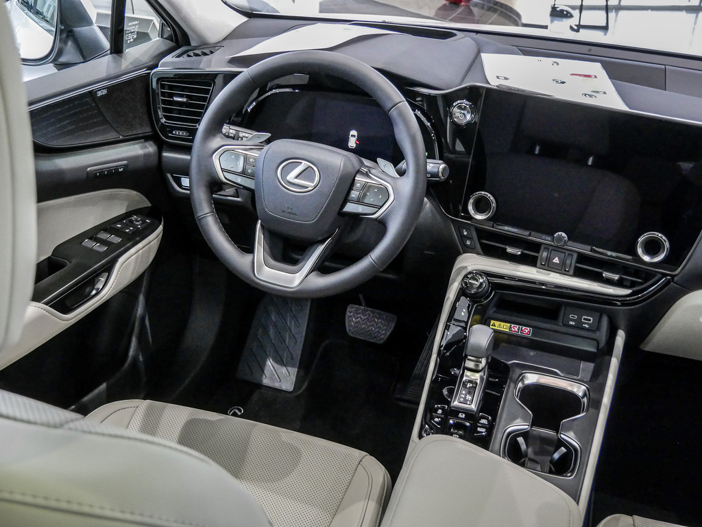 Fahrzeugansicht LEXUS NX 450h + Luxury - Bild 6
