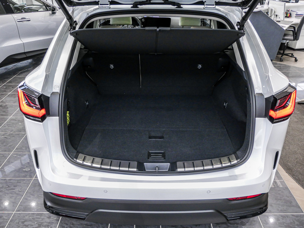 Fahrzeugansicht LEXUS NX 450h + Luxury - Bild 8