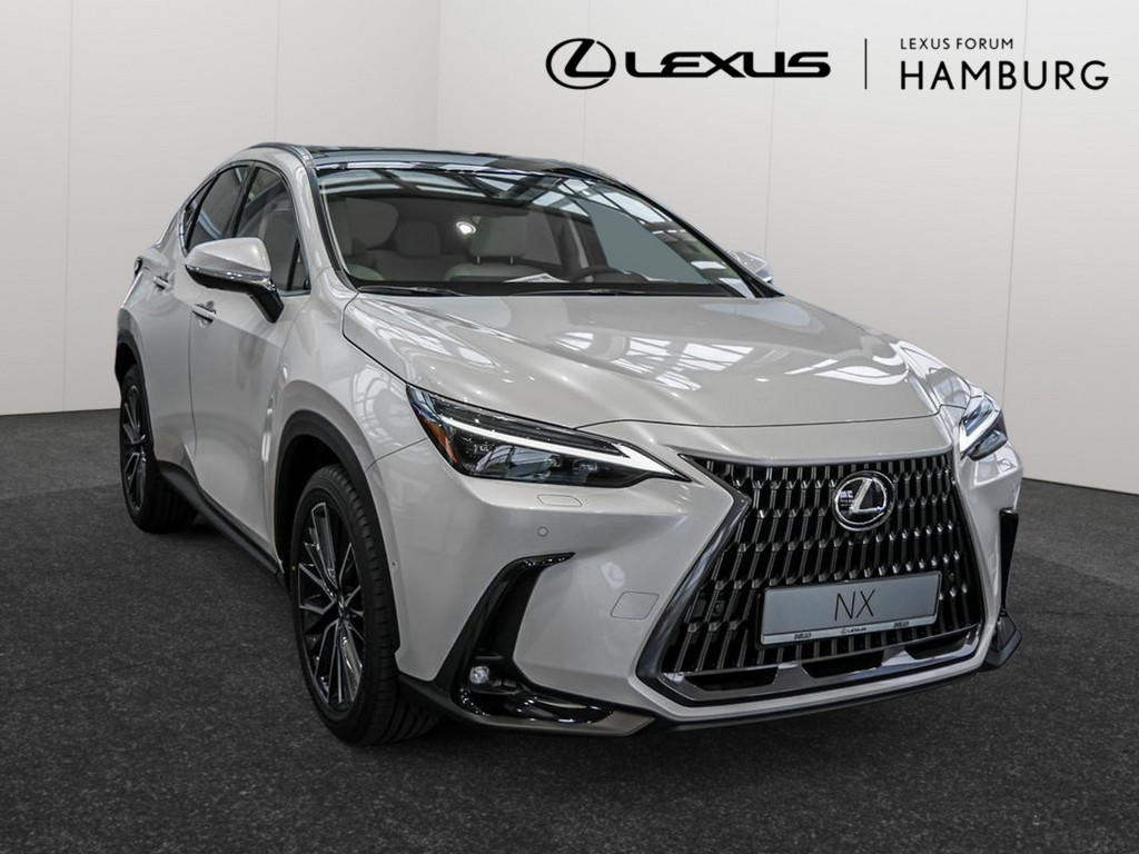 Fahrzeugansicht LEXUS NX 450h + Luxury - Bild 23
