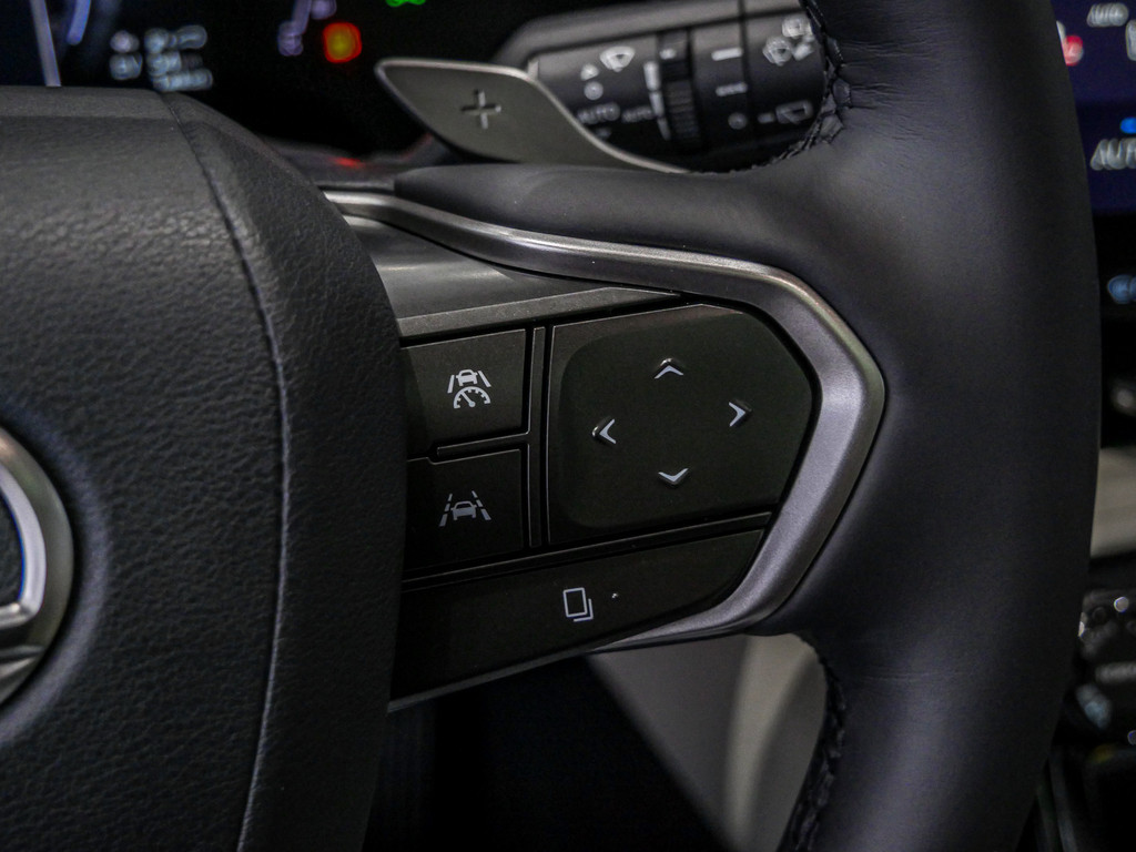 Fahrzeugansicht LEXUS NX 450h + Luxury - Bild 26