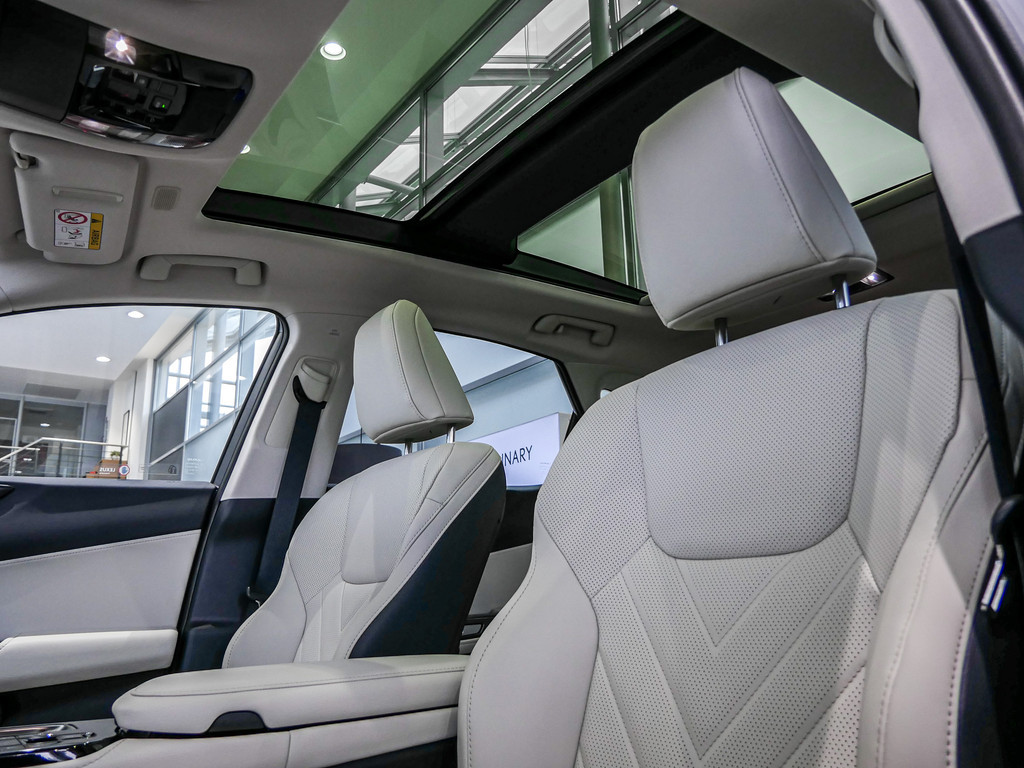 Fahrzeugansicht LEXUS NX 450h + Luxury - Bild 32