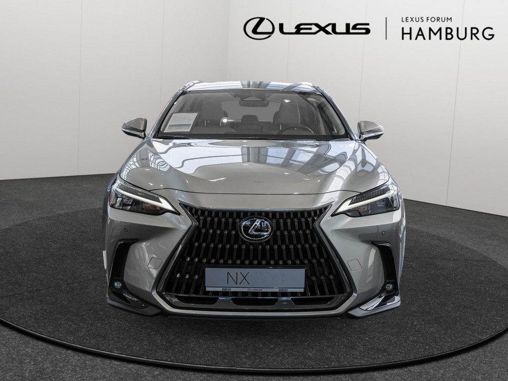 Fahrzeugansicht LEXUS NX 350h Executive - Bild 12