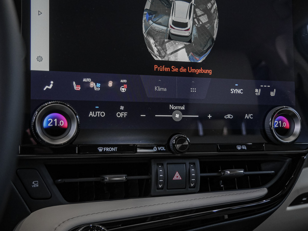 Fahrzeugansicht LEXUS NX 350h Executive - Bild 18