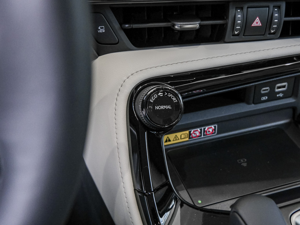 Fahrzeugansicht LEXUS NX 350h Executive - Bild 19