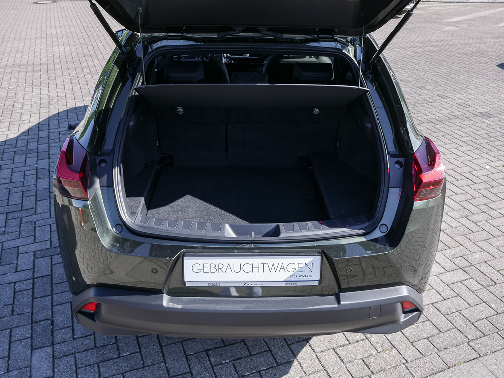 Fahrzeugansicht LEXUS UX 250h Style Edition - Bild 7