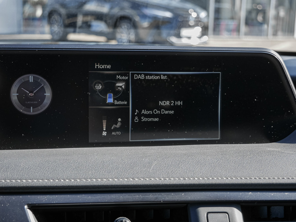 Fahrzeugansicht LEXUS UX 250h Style Edition - Bild 10