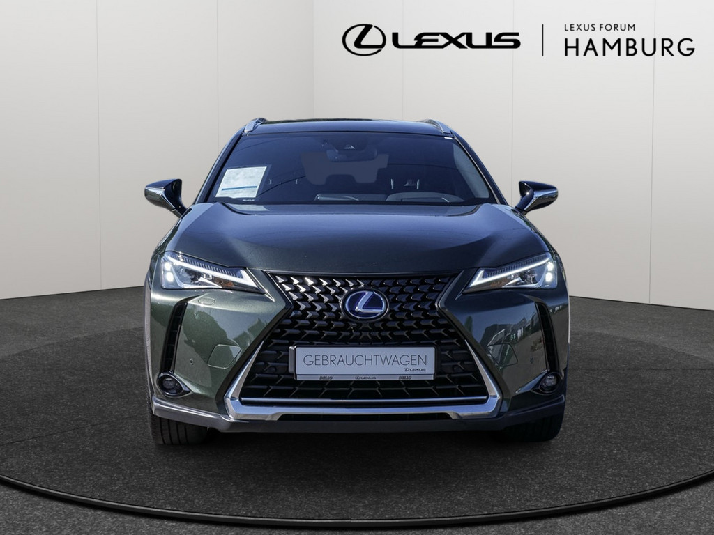 Fahrzeugansicht LEXUS UX 250h Style Edition - Bild 12