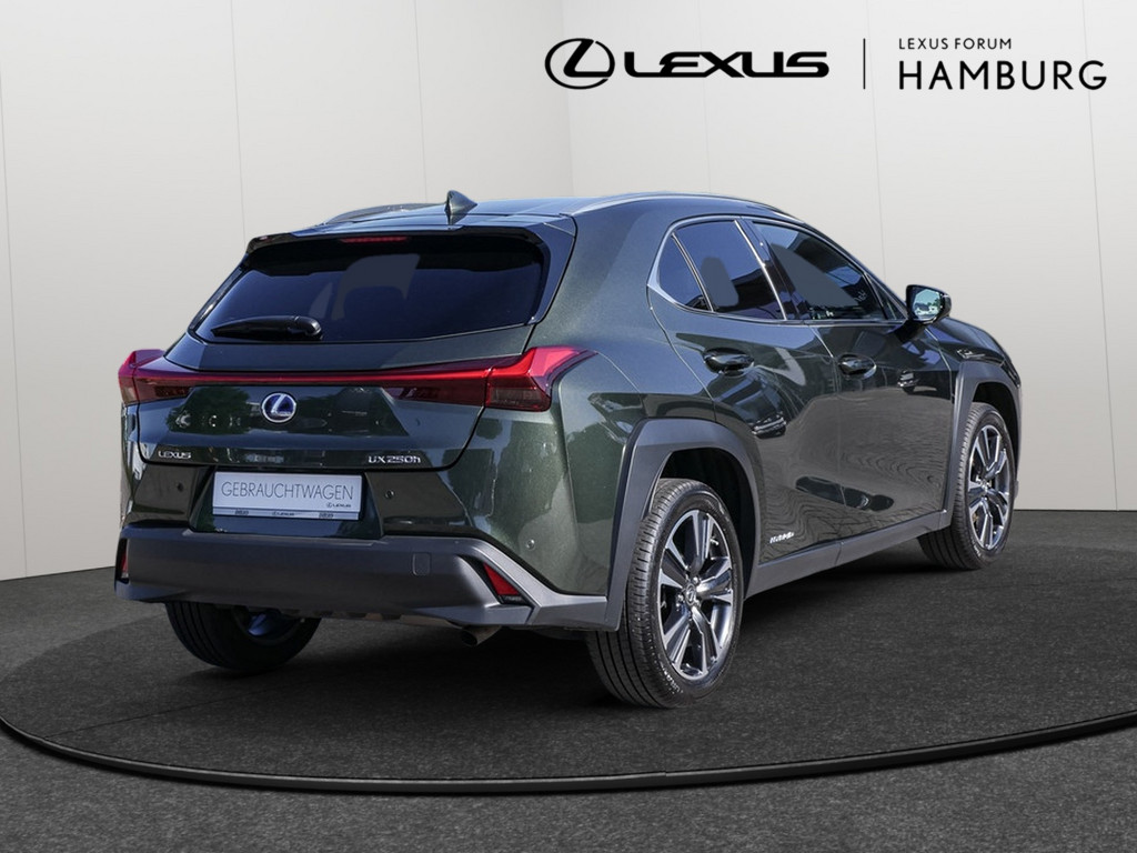 Fahrzeugansicht LEXUS UX 250h Style Edition - Bild 35