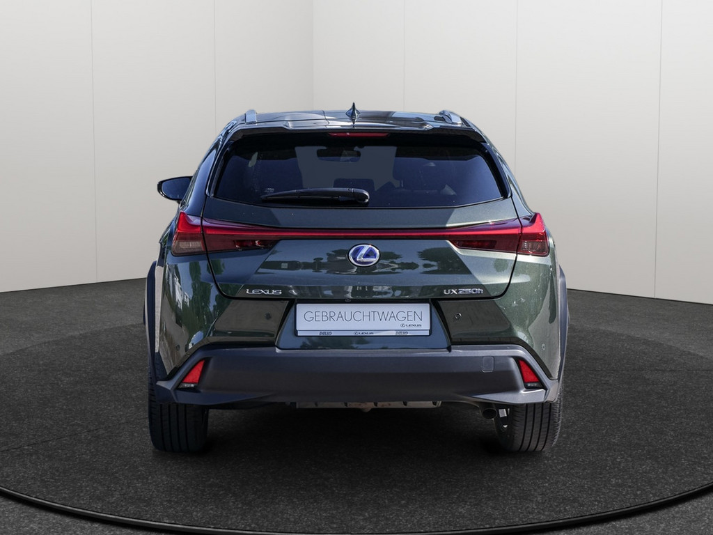 Fahrzeugansicht LEXUS UX 250h Style Edition - Bild 36