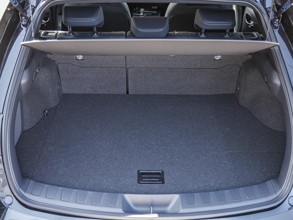 Fahrzeugansicht LEXUS UX 300h F-Sport Design - Bild 9