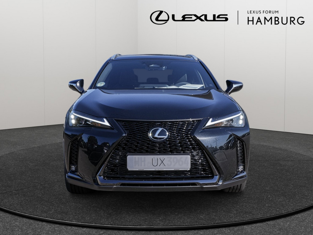 Fahrzeugansicht LEXUS UX 300h F-Sport Design - Bild 12