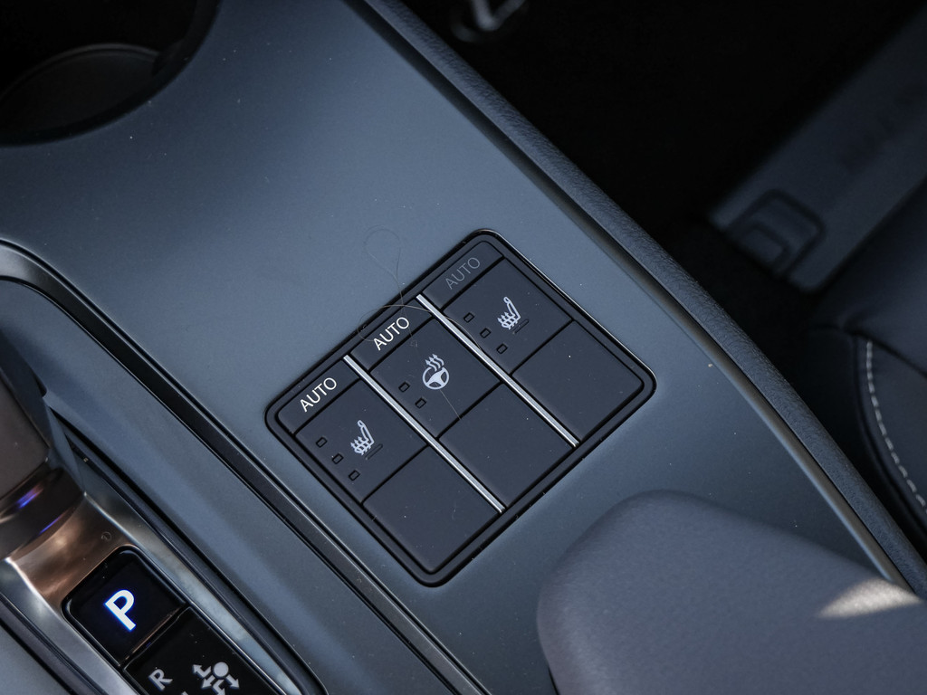 Fahrzeugansicht LEXUS UX 300h F-Sport Design - Bild 19