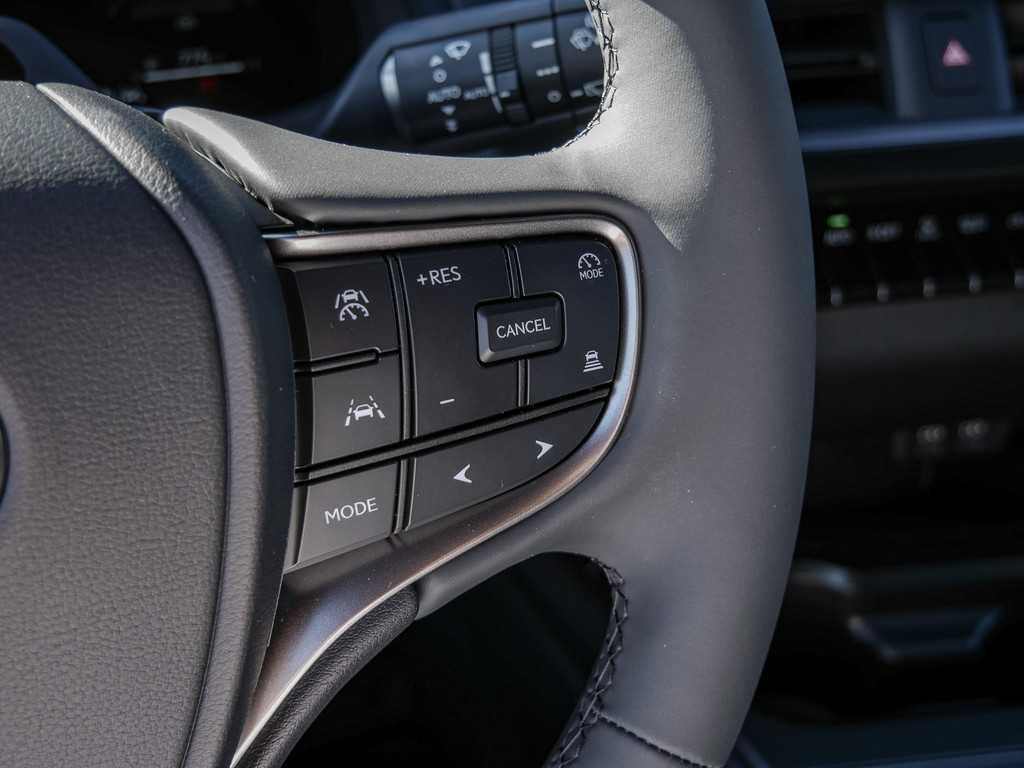 Fahrzeugansicht LEXUS UX 300h F-Sport Design - Bild 28