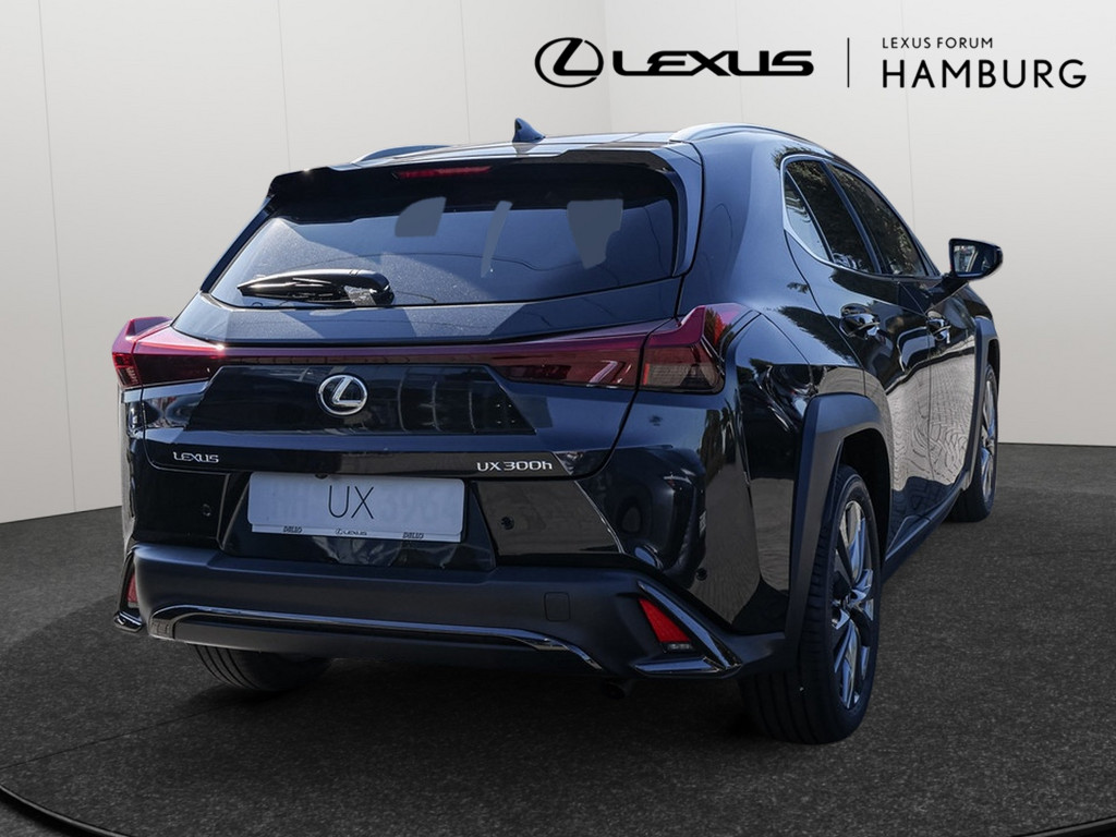 Fahrzeugansicht LEXUS UX 300h F-Sport Design - Bild 35