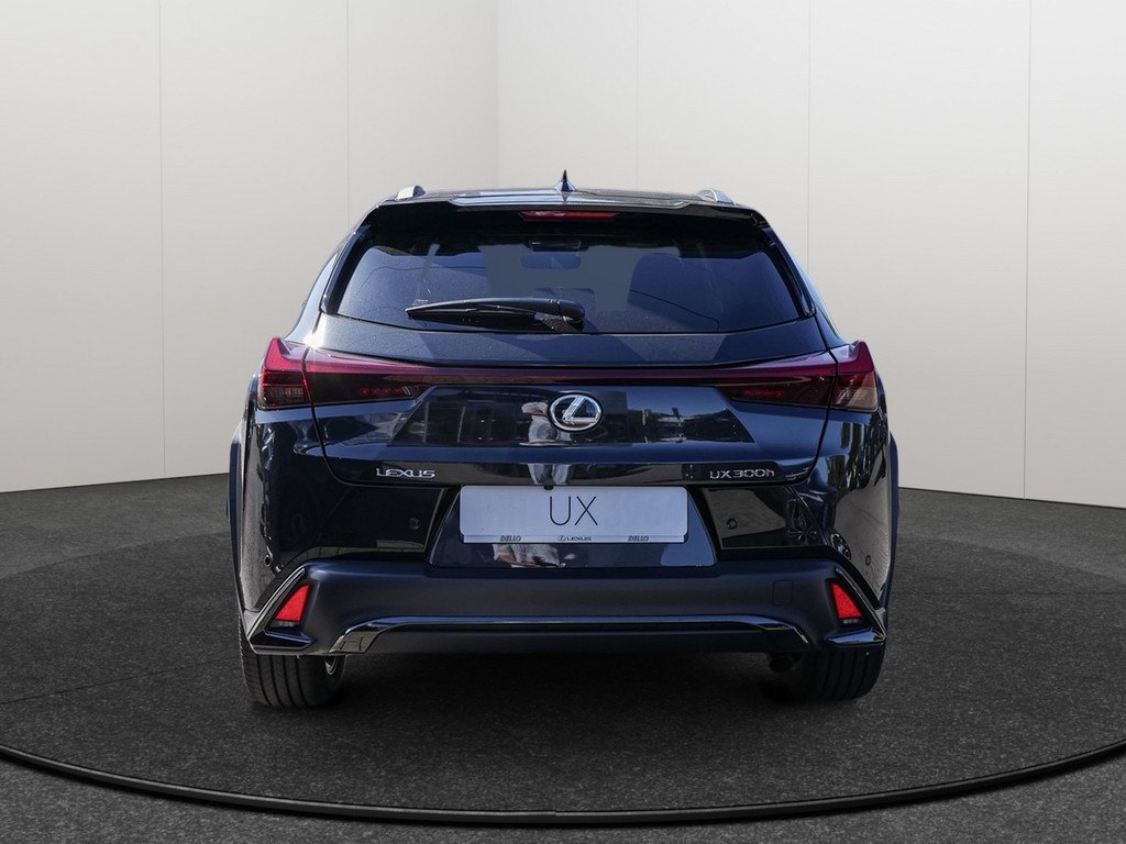 Fahrzeugansicht LEXUS UX 300h F-Sport Design - Bild 36