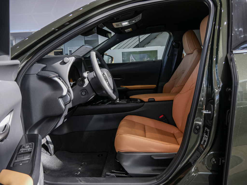 Fahrzeugansicht LEXUS UX 300h F-Sport Design - Bild 6