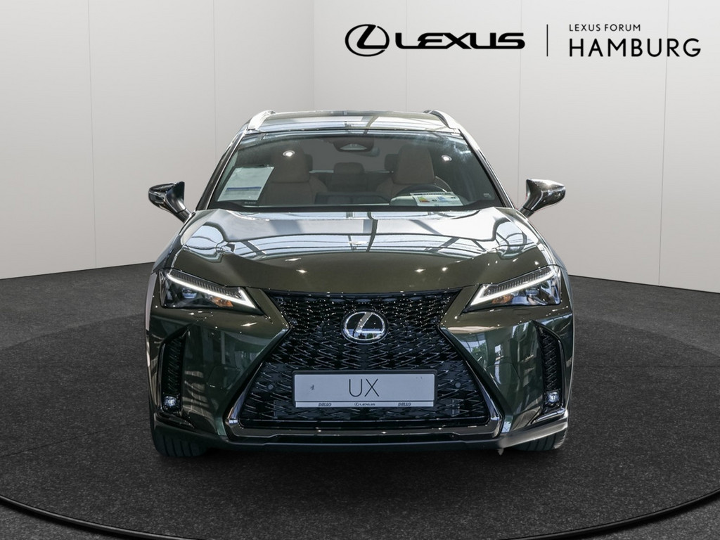Fahrzeugansicht LEXUS UX 300h F-Sport Design - Bild 12