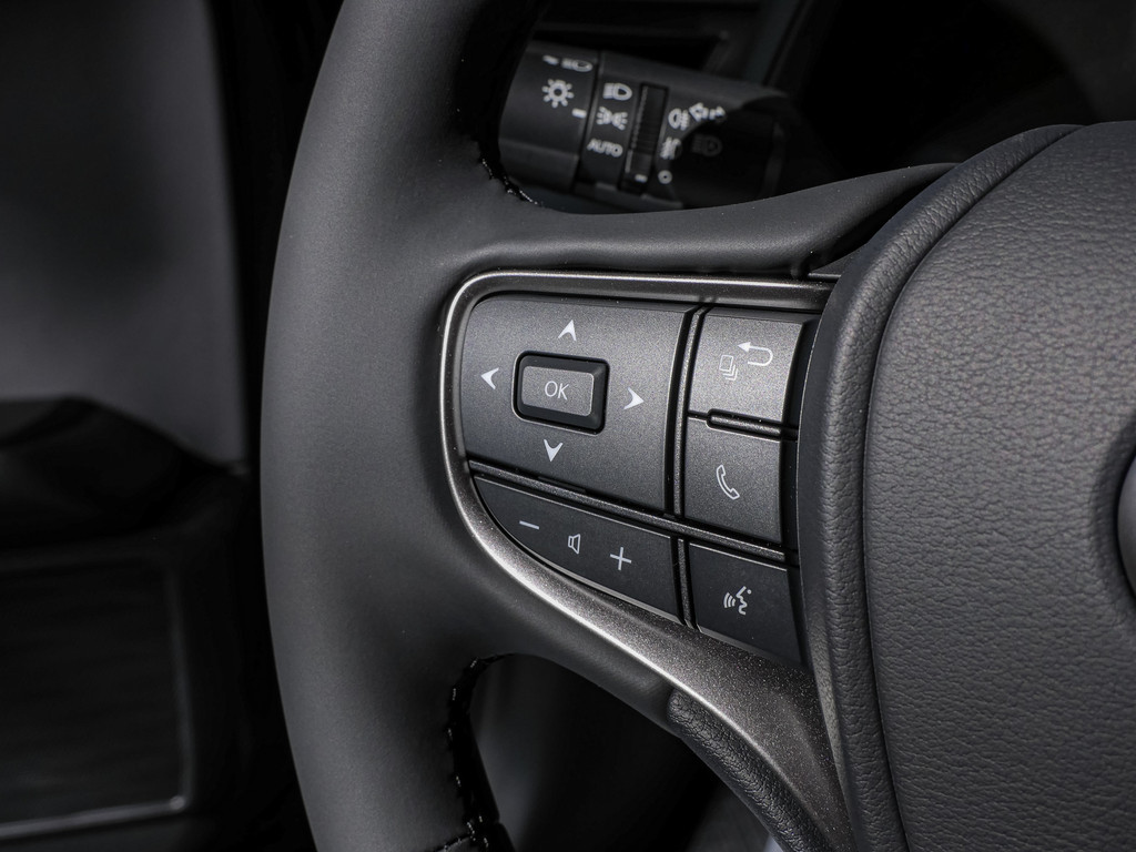 Fahrzeugansicht LEXUS UX 300h F-Sport Design - Bild 25