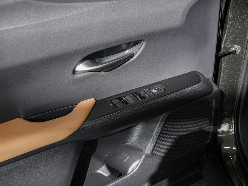 Fahrzeugansicht LEXUS UX 300h F-Sport Design - Bild 30