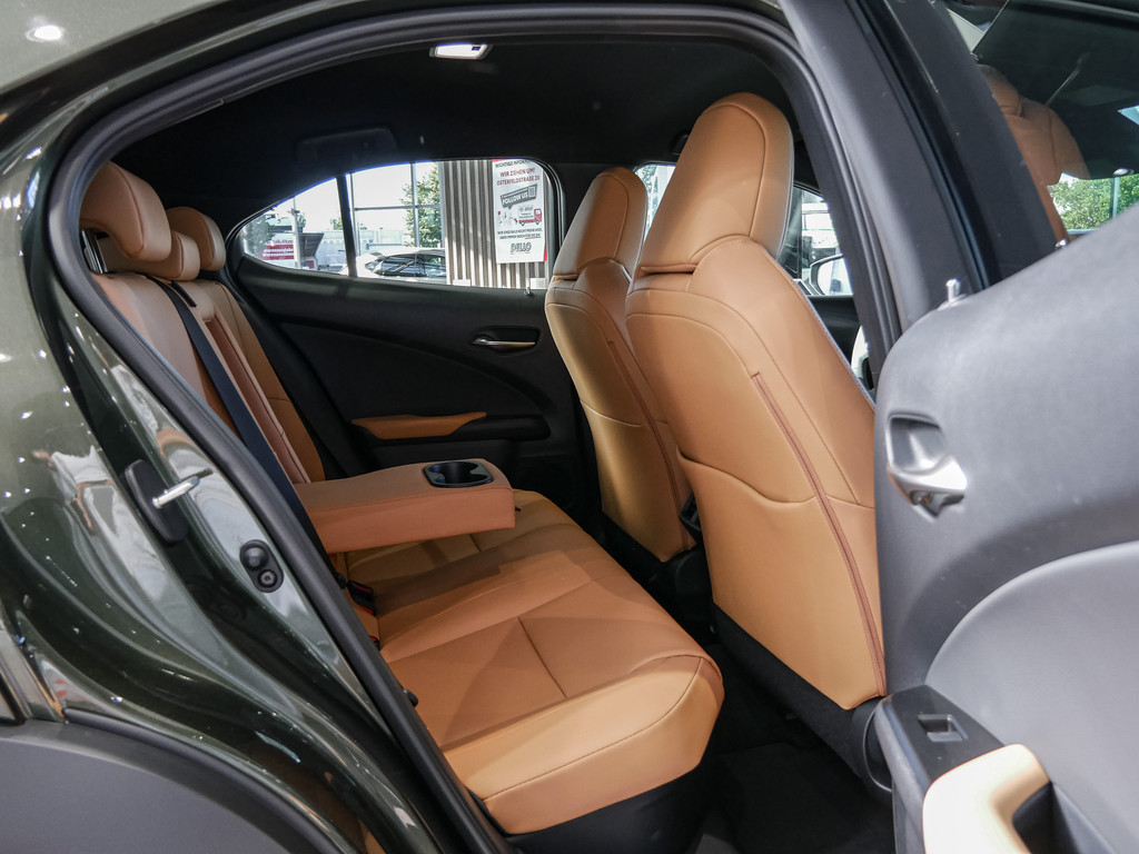Fahrzeugansicht LEXUS UX 300h F-Sport Design - Bild 36