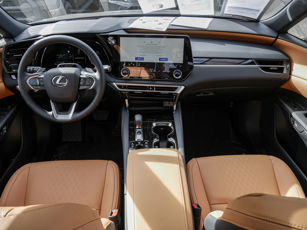 Fahrzeugansicht LEXUS RX 450h + F Sport Design - Bild 7