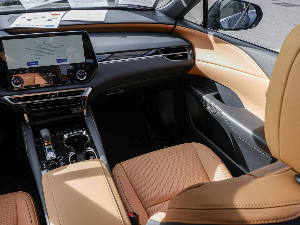 Fahrzeugansicht LEXUS RX 450h + F Sport Design - Bild 9