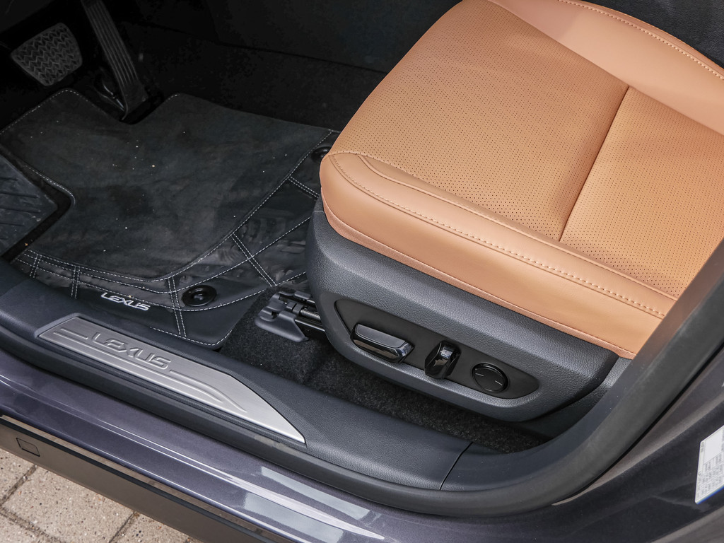 Fahrzeugansicht LEXUS RX 450h + F Sport Design - Bild 31