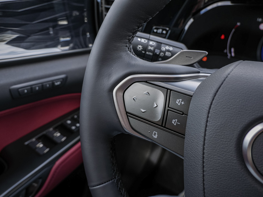 Fahrzeugansicht LEXUS NX 350h Executive - Bild 25