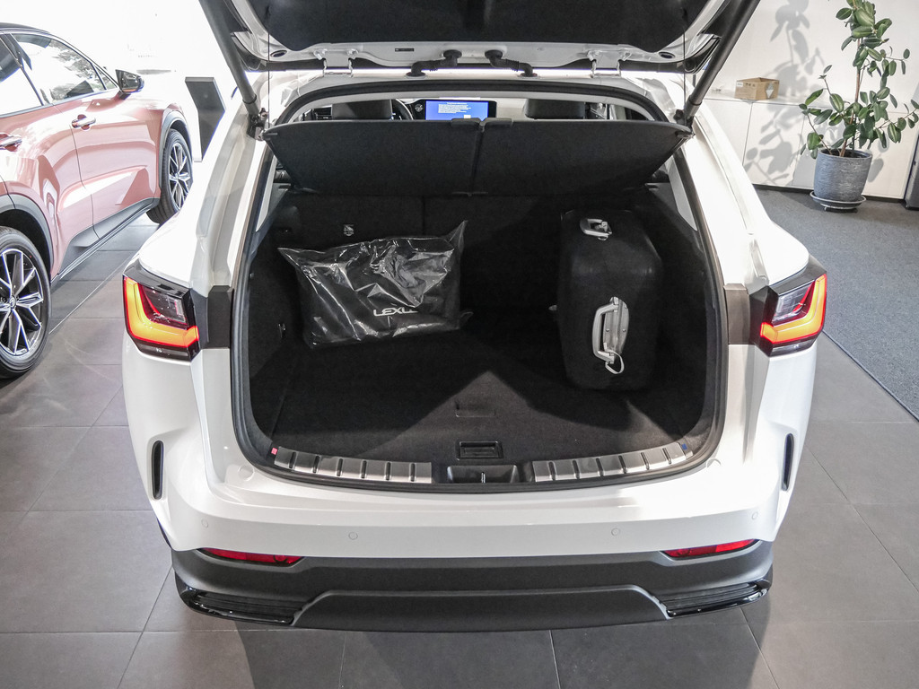 Fahrzeugansicht LEXUS NX 350h Luxury AWD - Bild 8