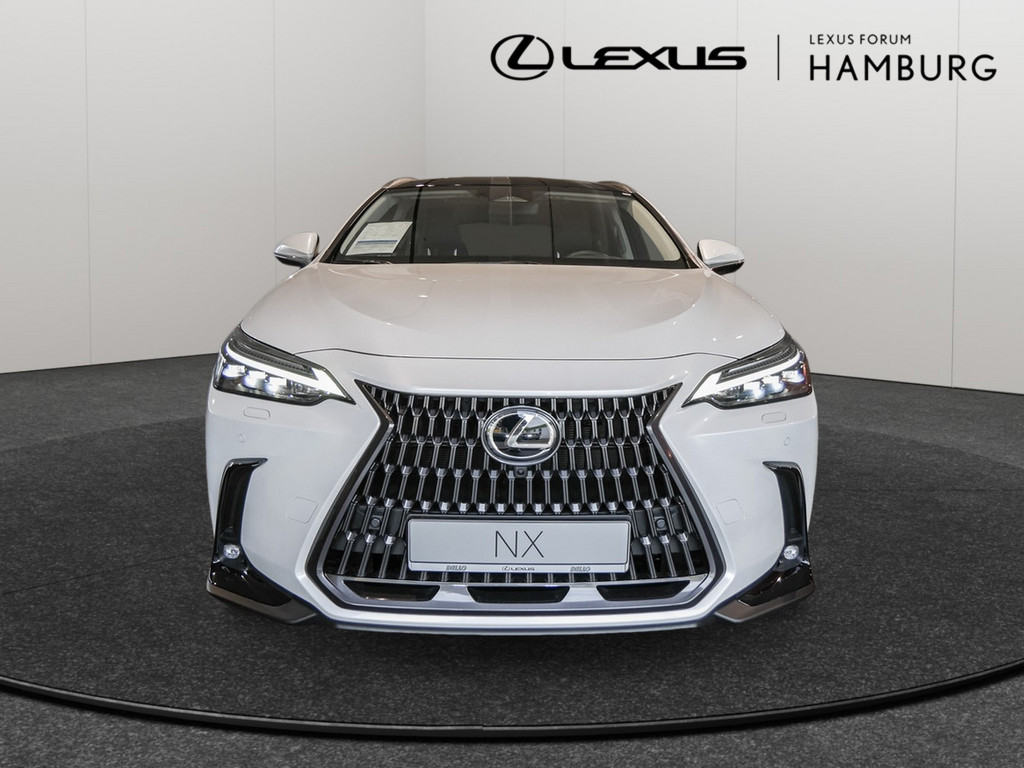 Fahrzeugansicht LEXUS NX 350h Luxury AWD - Bild 12