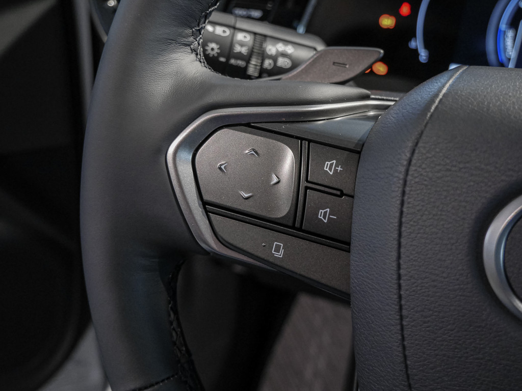 Fahrzeugansicht LEXUS NX 350h Luxury AWD - Bild 26