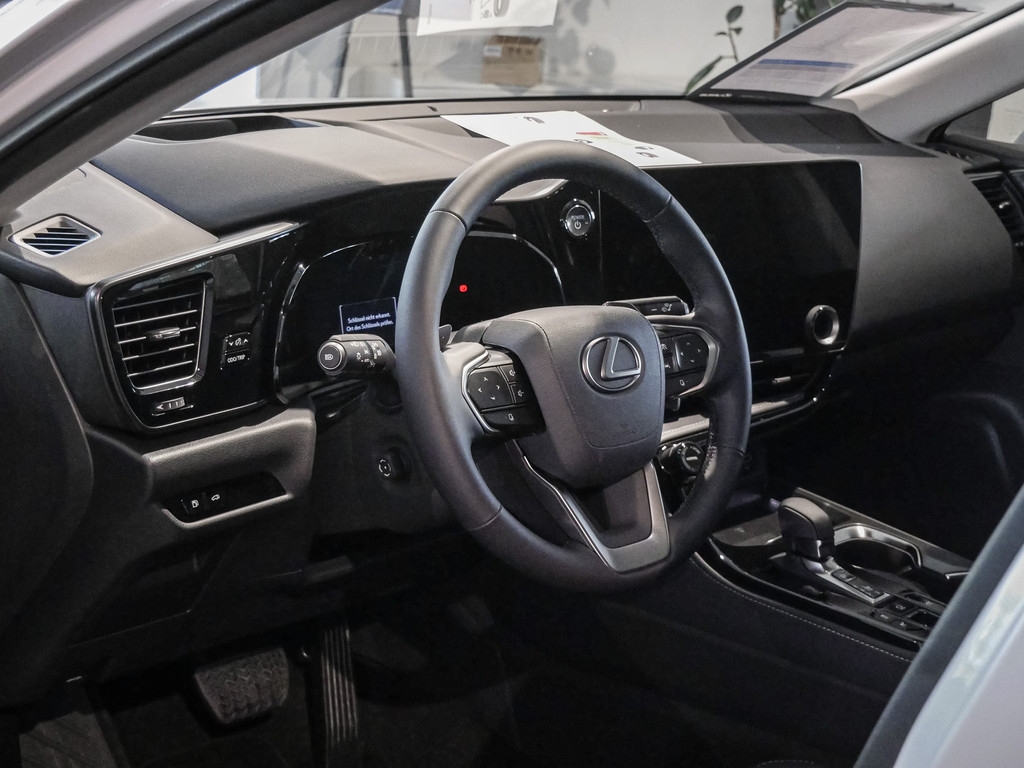 Fahrzeugansicht LEXUS NX 350h Luxury AWD - Bild 29