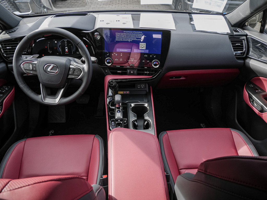 Fahrzeugansicht LEXUS NX 350h Executive - Bild 5