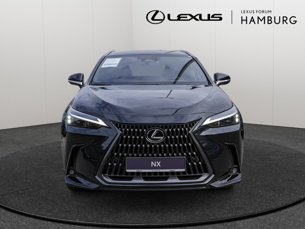 Fahrzeugansicht LEXUS NX 350h Executive - Bild 12