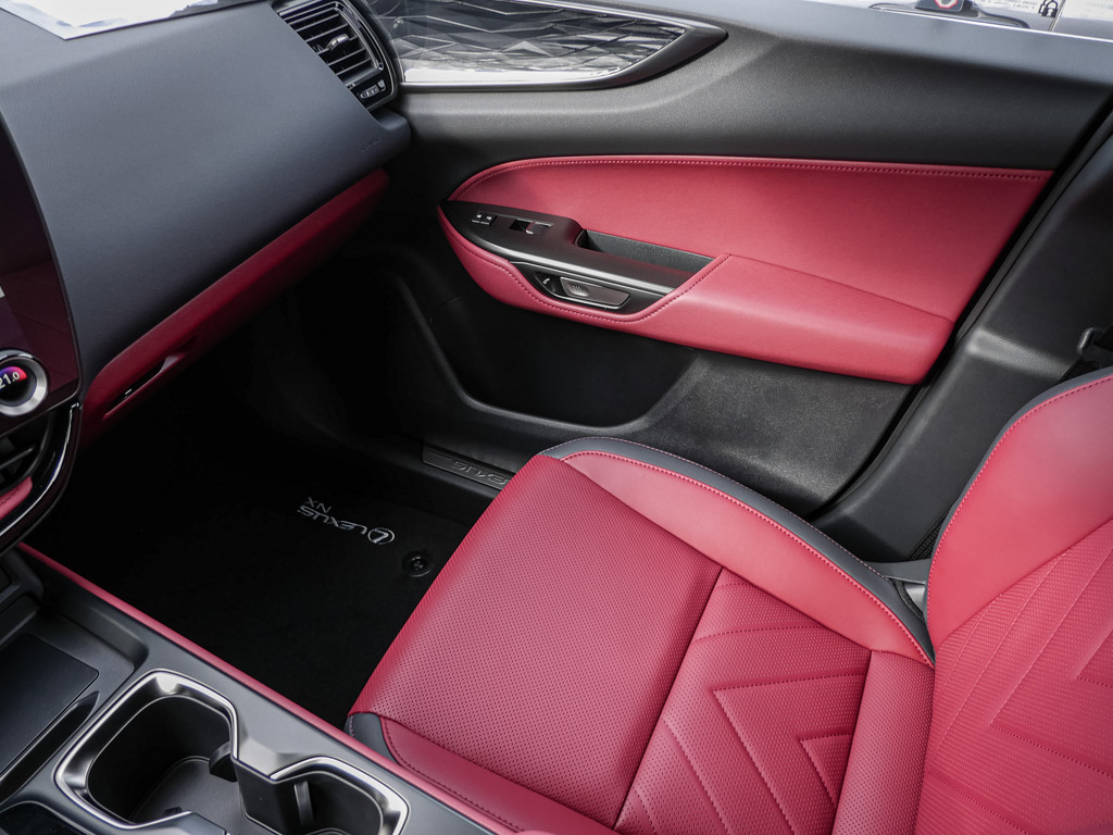 Fahrzeugansicht LEXUS NX 350h Executive - Bild 18