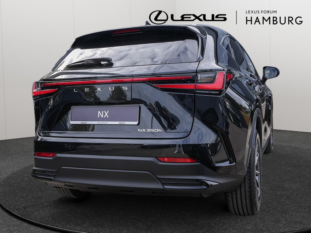 Fahrzeugansicht LEXUS NX 350h Executive - Bild 31