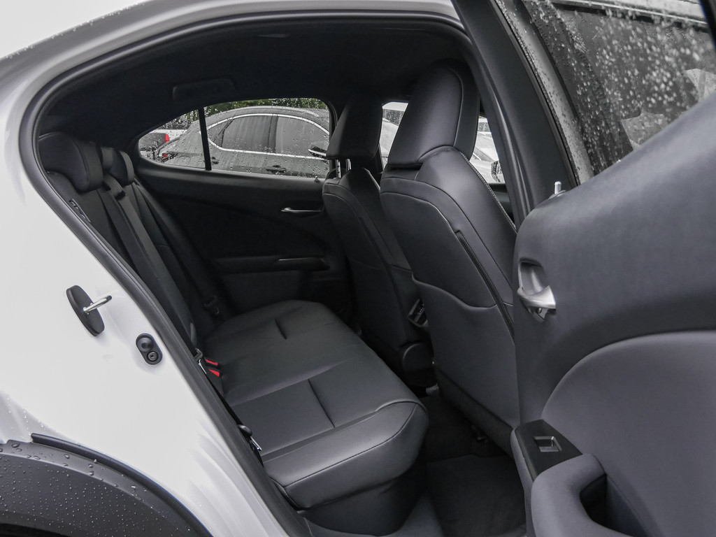 Fahrzeugansicht LEXUS UX 300 h F Sport Design - Bild 6