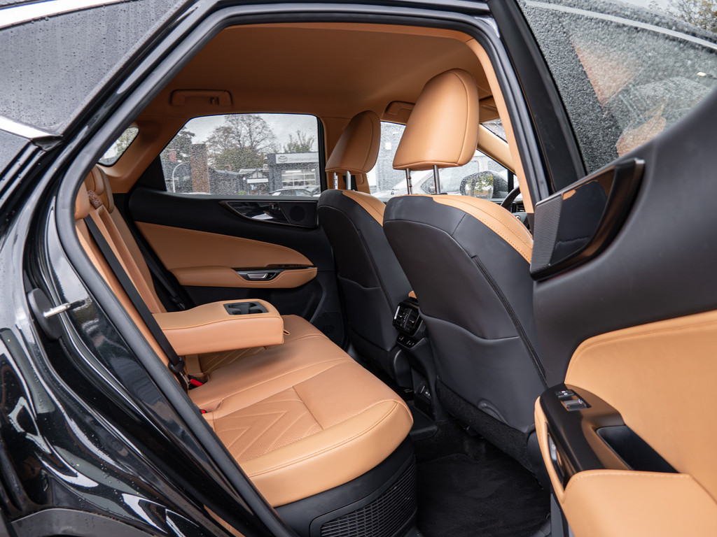 Fahrzeugansicht LEXUS NX 450h + Executive - Bild 5