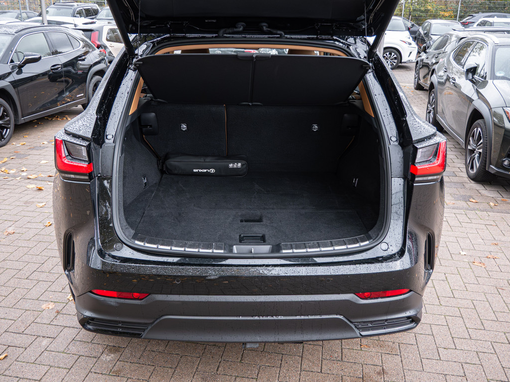 Fahrzeugansicht LEXUS NX 450h + Executive - Bild 11