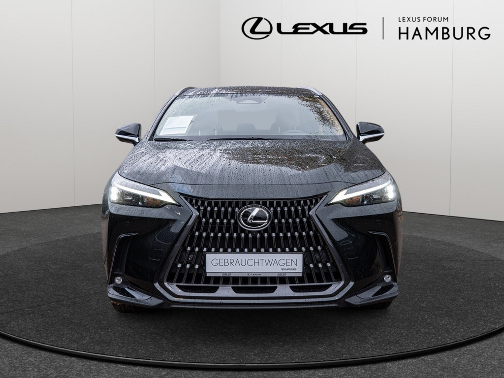 Fahrzeugansicht LEXUS NX 450h + Executive - Bild 12
