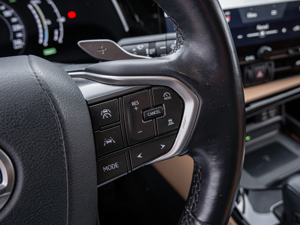 Fahrzeugansicht LEXUS NX 450h + Executive - Bild 29