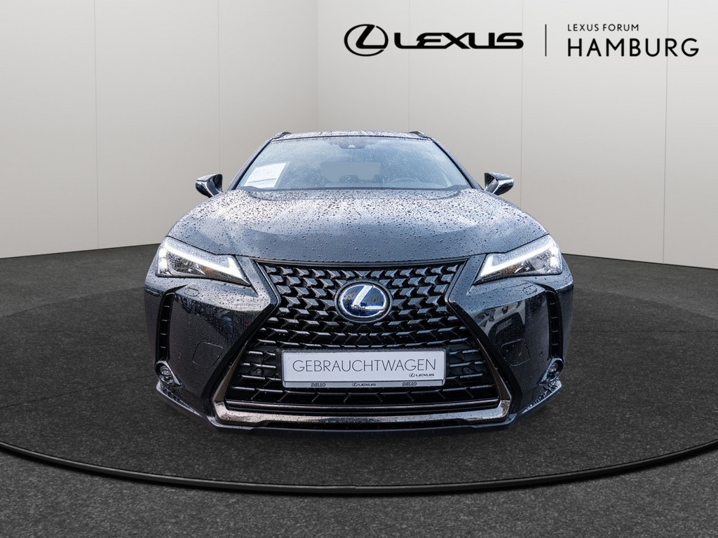 Fahrzeugansicht LEXUS UX 250 h Style+ - Bild 12