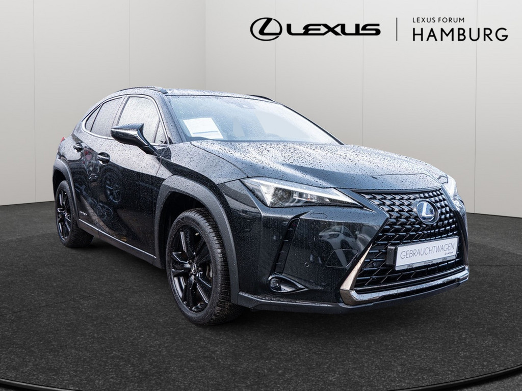 Fahrzeugansicht LEXUS UX 250 h Style+ - Bild 23