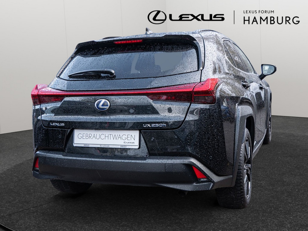 Fahrzeugansicht LEXUS UX 250 h Style+ - Bild 34