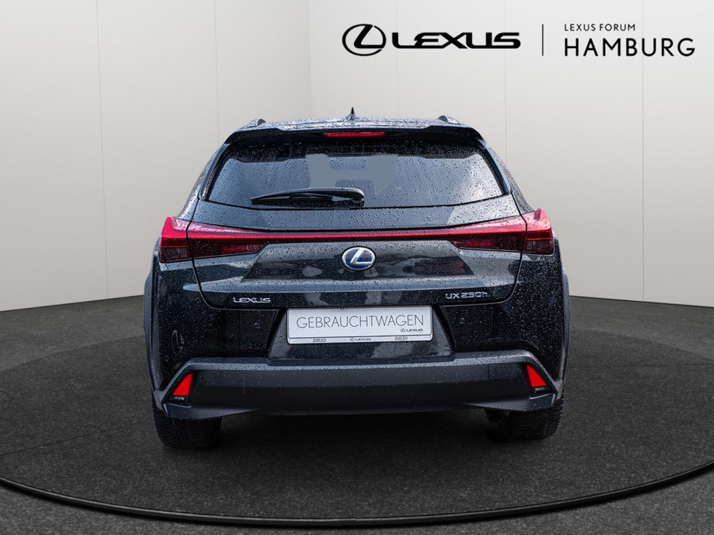 Fahrzeugansicht LEXUS UX 250 h Style+ - Bild 37