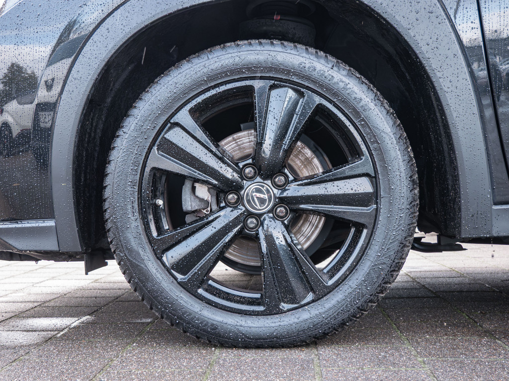 Fahrzeugansicht LEXUS UX 250 h Style+ - Bild 40