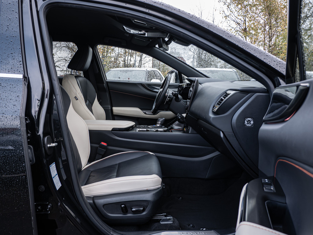 Fahrzeugansicht LEXUS NX 450h + Executive - Bild 2